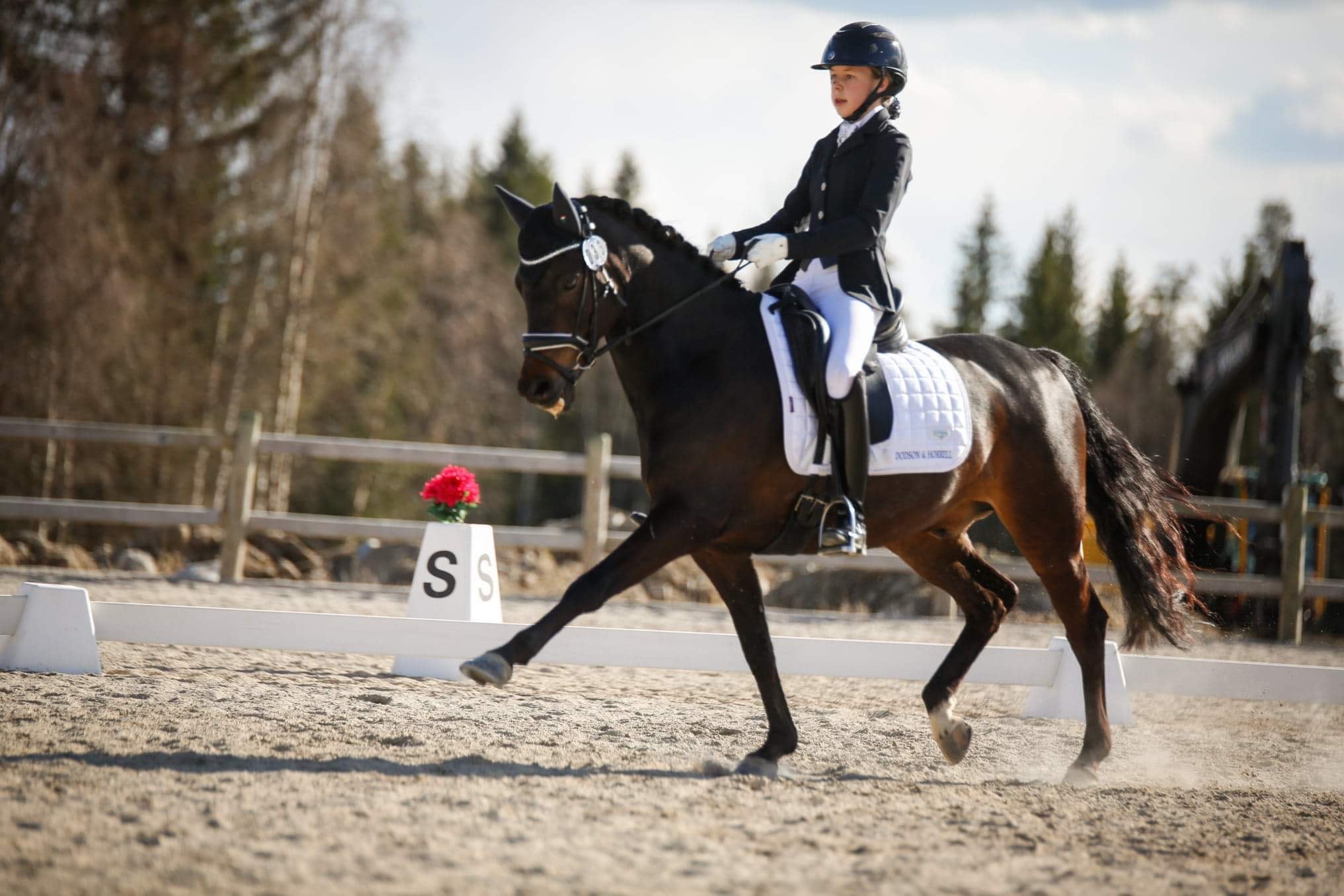 3 Skedsmo ryttere tatt ut til Nordisk mesterskap i dressur i Finland
